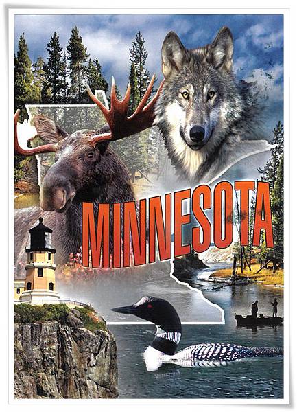 minnesota minnesota