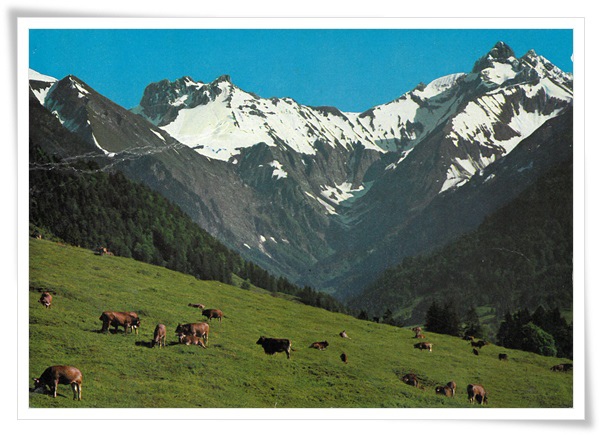 kuhberg.jpg kuhberg.jpg