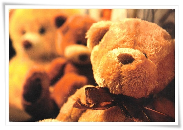 teddy.jpg teddy.jpg