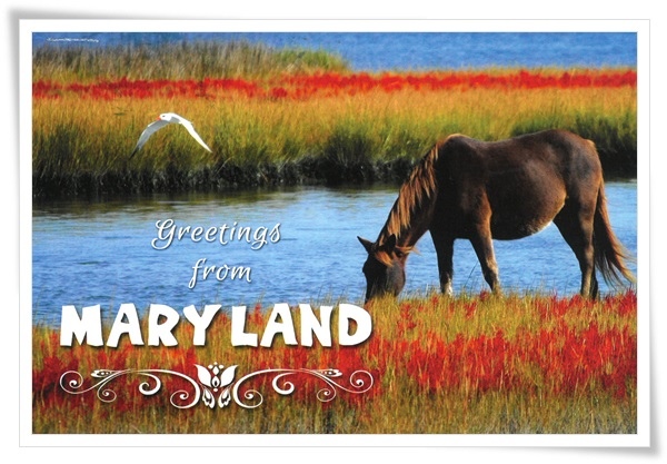 maryland.jpg maryland.jpg