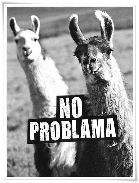 no problama.jpg no problama.jpg