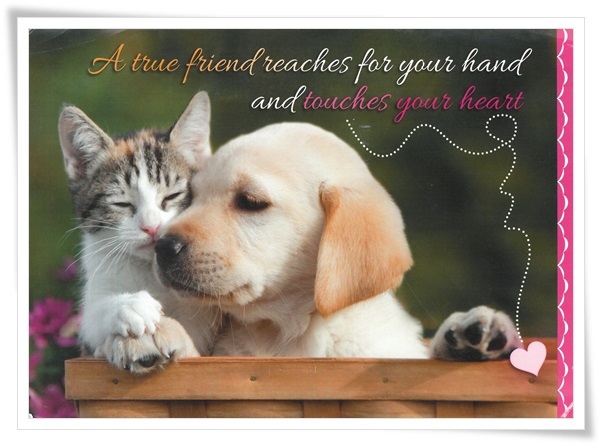 a true friend.jpg a true friend.jpg