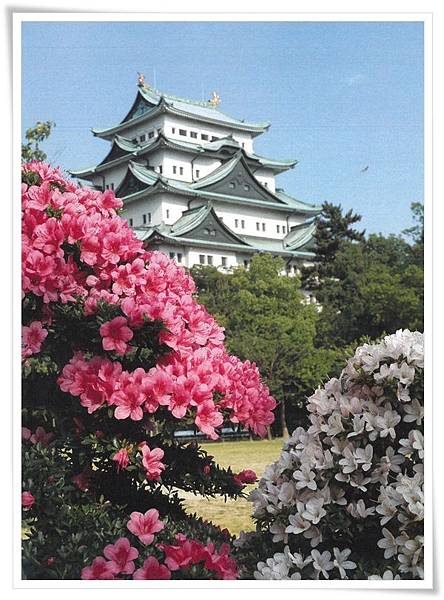 nagoy castle with azaleas.jpg nagoy castle with azaleas.jpg