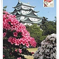nagoy castle with azaleas1.jpg