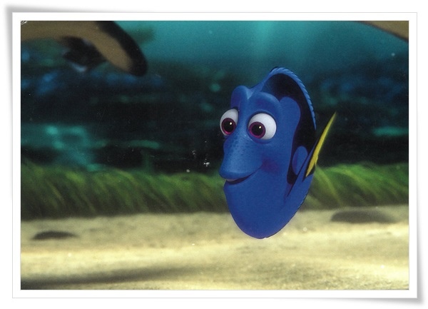 dory.jpg dory.jpg