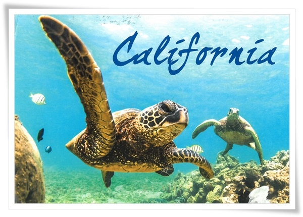 fun in california.jpg fun in california.jpg