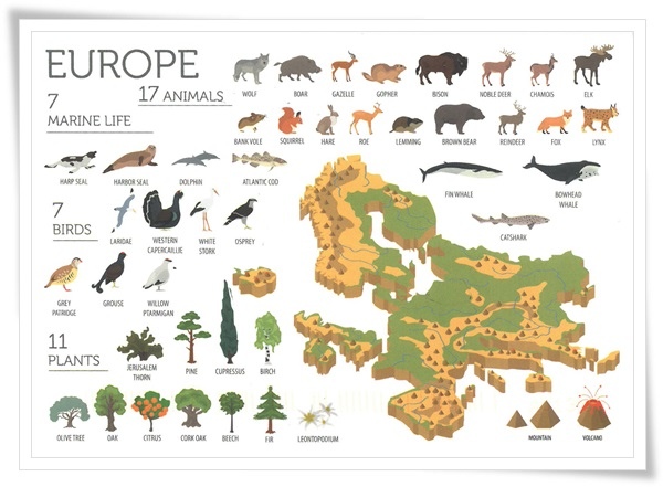 fauna and flora of europe.jpg fauna and flora of europe.jpg