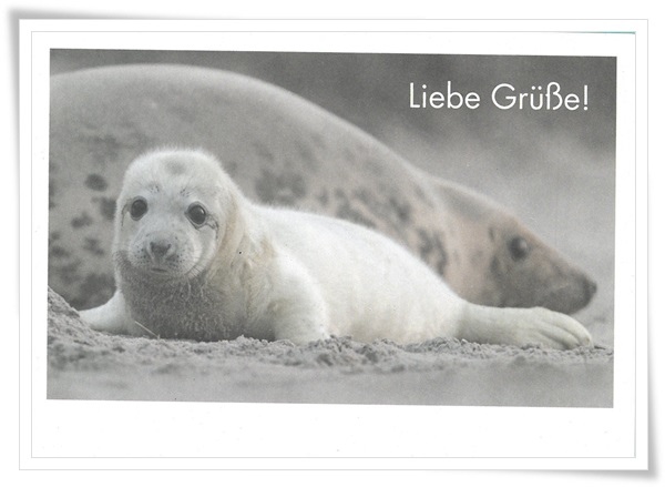 liebe grube.jpg liebe grube.jpg