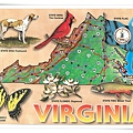 virginia.jpg