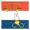 miffy bikee.jpg