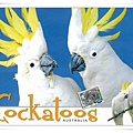 cockatoos1.jpg