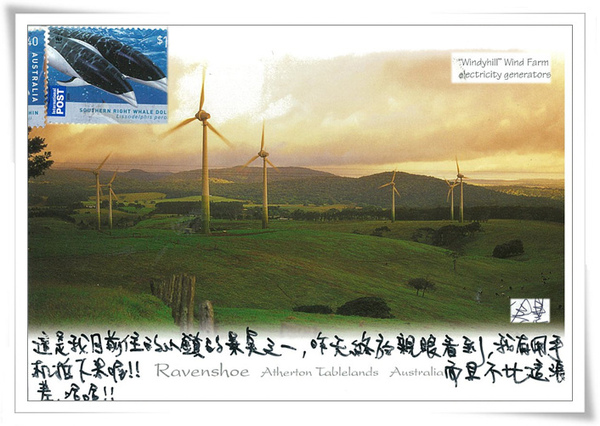 WIND FARM