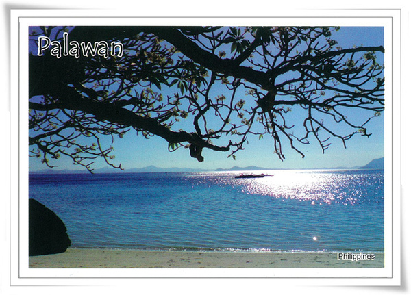 PALAWAN.jpg PALAWAN.jpg