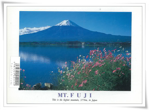 富士山湖景.jpg