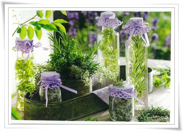 植物.jpg 植物.jpg