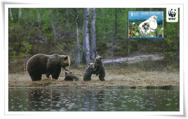 芬蘭 棕熊1.jpg