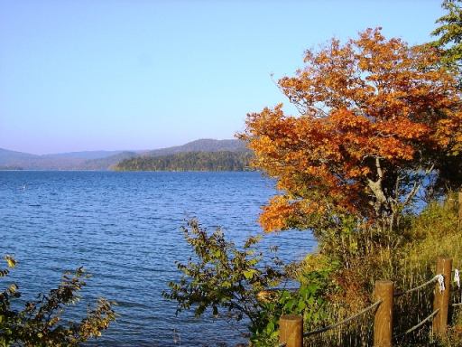 阿寒湖的湖景