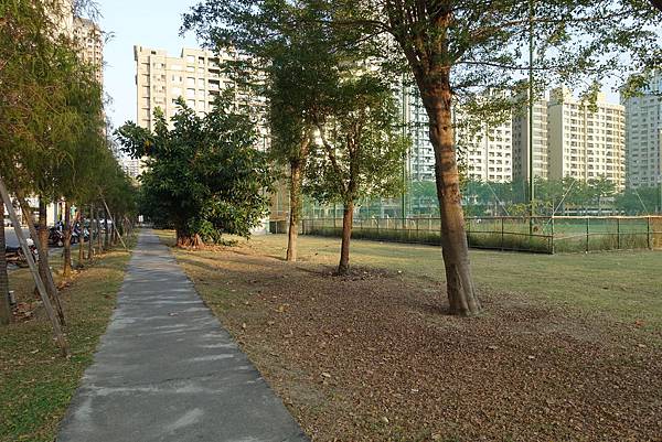 運動公園 (2).JPG