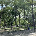 公園.jpg