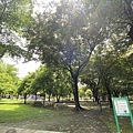 兒童公園.jpg