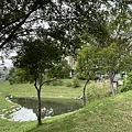 滯洪池公園.JPG