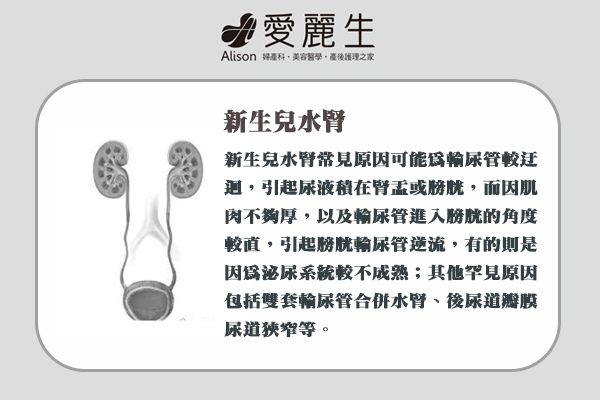 五大新生兒超音波檢查｜把握新生兒超音波檢查黃金期3