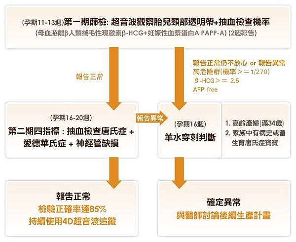 唐氏症檢驗方式與流程