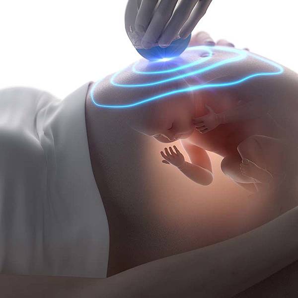 懷孕中期蔬果1 懷孕中期蔬果1