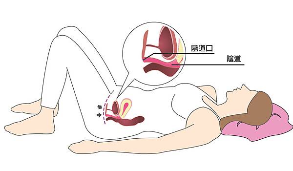 凱格爾運動-01