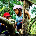 nEO_IMG_爬樹01 (3).jpg
