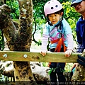 nEO_IMG_爬樹15 (1).jpg