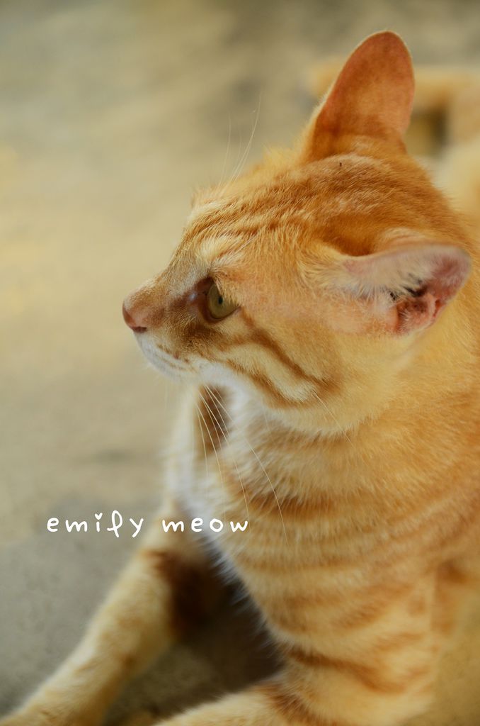EMI_9783.JPG EMI_9783.JPG