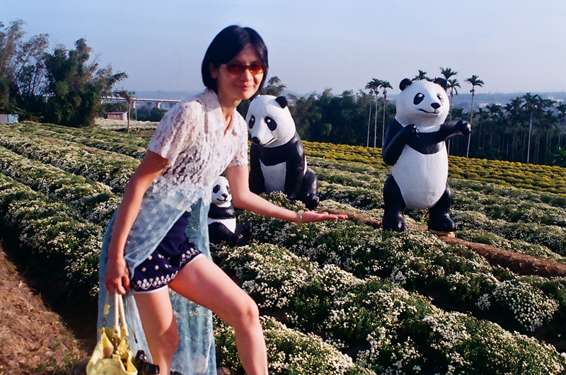 000782160038_副本.jpg 000782160038_副本.jpg