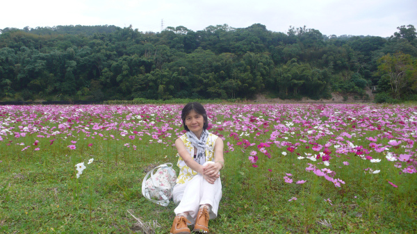 P1120160.jpg P1120160.jpg
