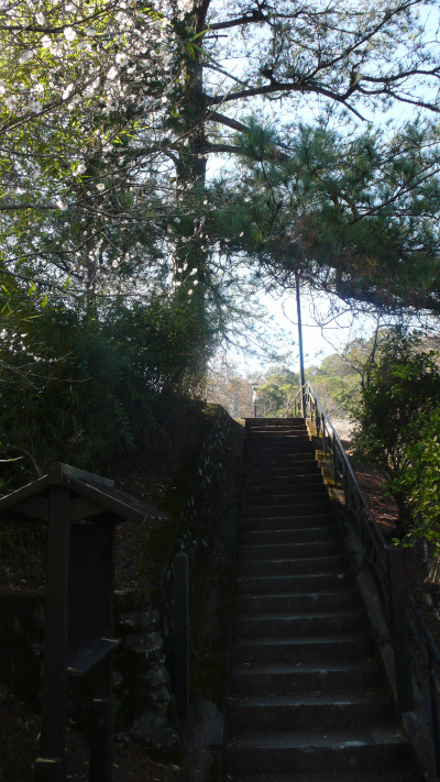 P1130851.jpg P1130851.jpg