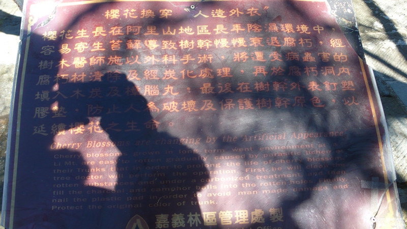 P1120888_副本.jpg P1120888_副本.jpg