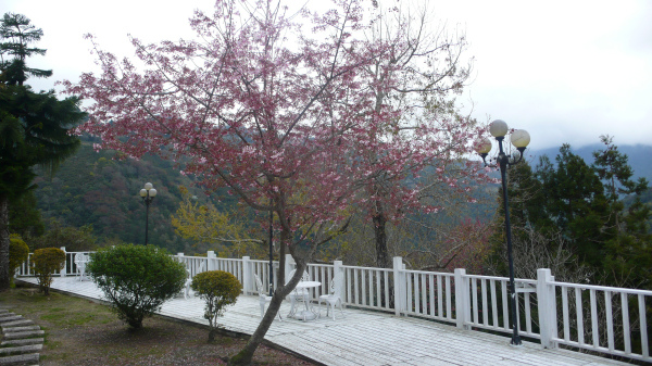 P1150703.jpg P1150703.jpg