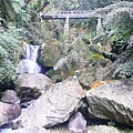 P1150848_副本.jpg