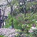 P1150854_副本.jpg