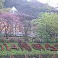 P1150857_副本.jpg