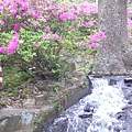 P1150874_副本.jpg