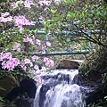 P1150896_副本.jpg