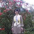 P1150897_副本.jpg
