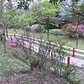 P1150900_副本.jpg