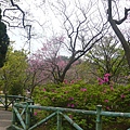 P1150913_副本.jpg