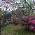P1150914_副本.jpg