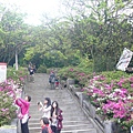 P1150916_副本.jpg