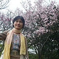 P1150917_副本.jpg