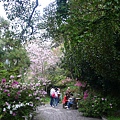 P1150918_副本.jpg