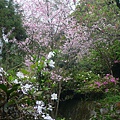 P1150919_副本.jpg